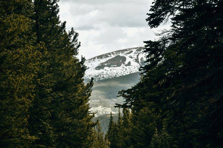 Nolan Takes The Odyssey to the Highlands